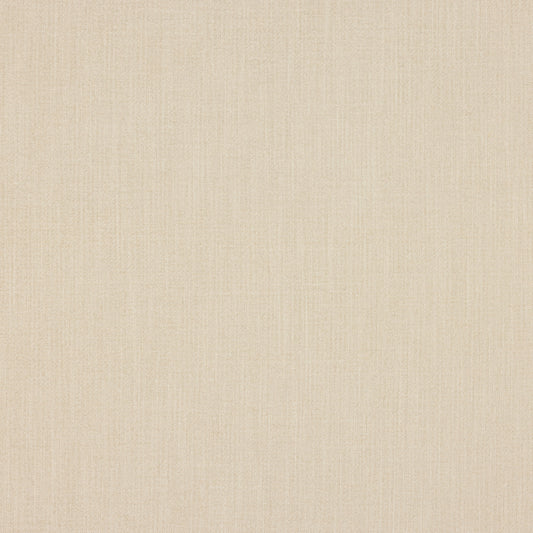 Sample: Cream Chenille