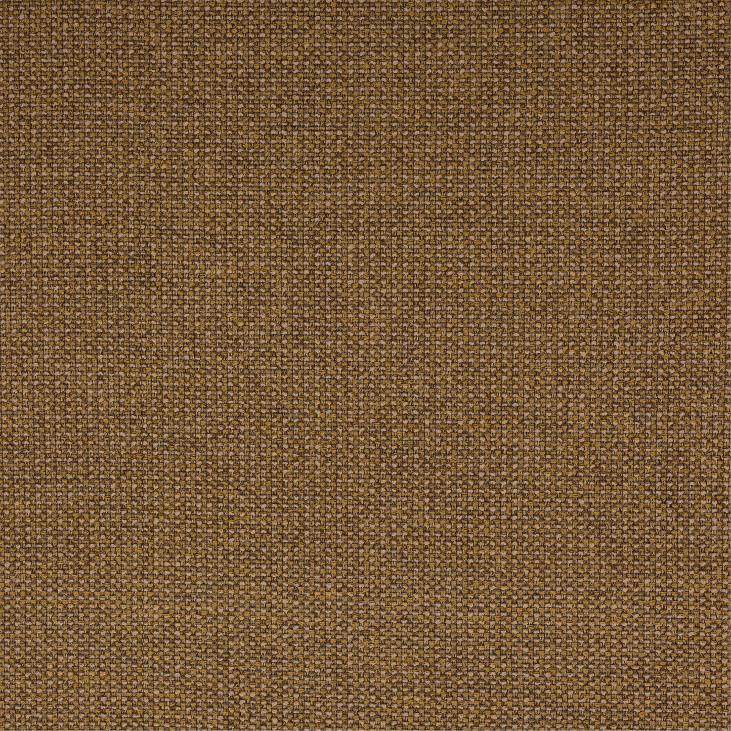 Sample: Saffron Fancy Boucle