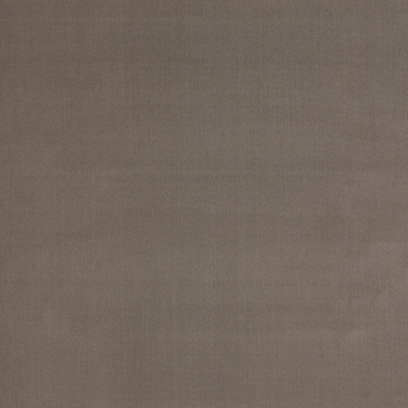 Sample: Taupe Velvet