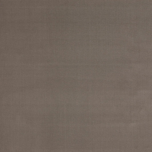Sample: Taupe Velvet