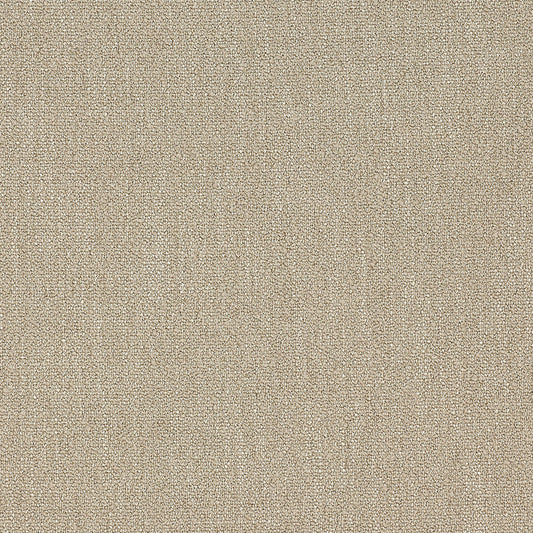 Sample: Birch Boucle