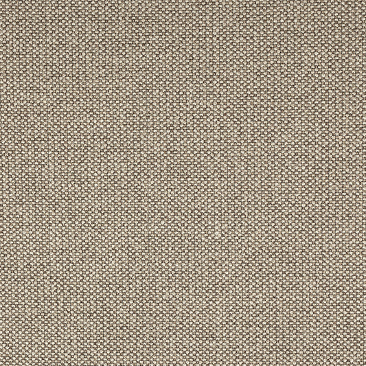 Sample: Sand Fancy Boucle
