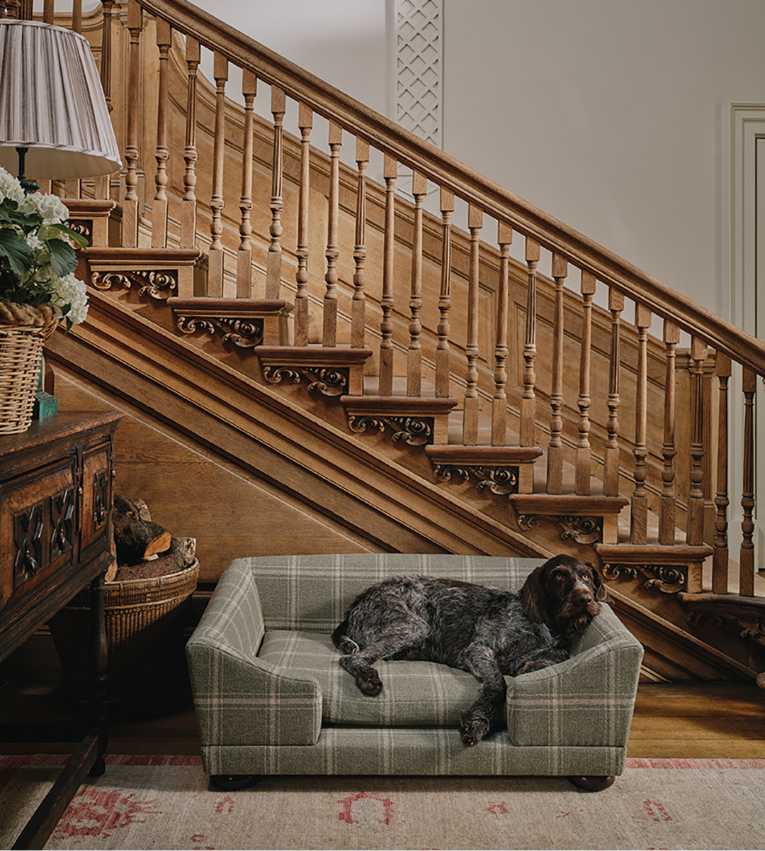 Douglas Dog Bed