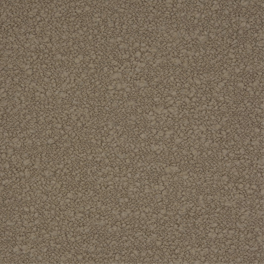 Sample: Clay Jumbo Boucle