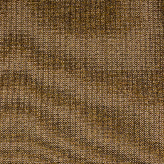 Saffron Fancy Boucle