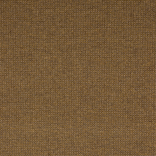 Sample: Saffron Fancy Boucle