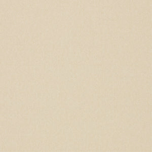 Sample: Cream Heavy Linen