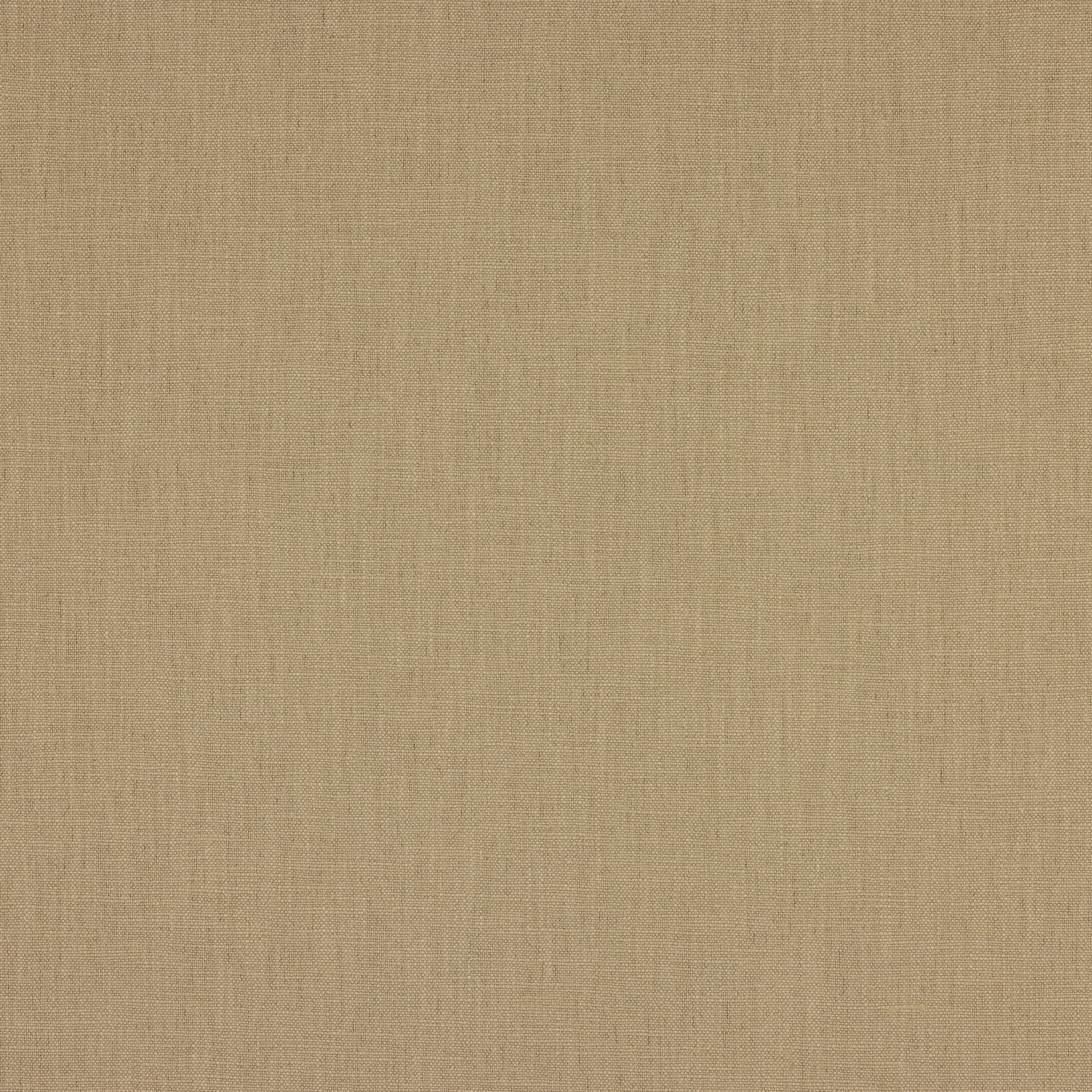 Taupe - Cotton